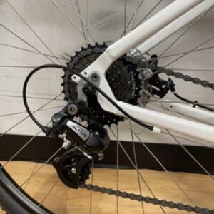 2019 Trek Verve 1 Women’s