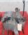 2001 Transmission Assy BUICK PARK AVE