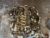 Motor CJC CJCD Audi A4 8K A5 8T Q5 8R 2.0 TDI 110KW150PS 115TKM