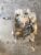 2005 2006 CHEVROLET EQUINOX Engine Transmission Automatic
