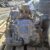 2001 Nissan MaximaTransmission Assy