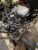BMW 2.0L B47 Engine
