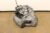 2009-2015 Toyota Corolla 4 Speed Automatic Transmission
