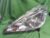Left Headlight HONDA Fit 2011 DAA-GP1 33150TF0J71