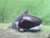 Left Side Mirror NISSAN March 2011 DBA-K13 963021HH3C